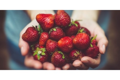 Seasonal strawberries over mangoes are the way to go 